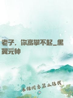 老子，你高攀不起