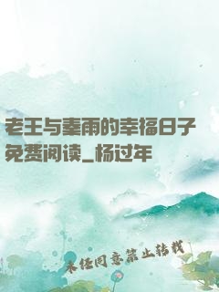 老王与秦雨的幸福日子免费阅读