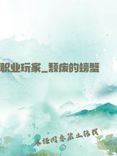 职业玩家