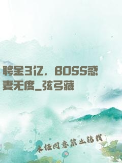 聘金3亿，BOSS惑妻无度