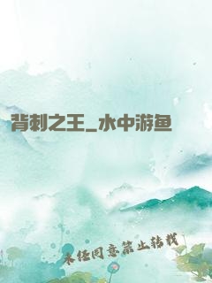 背刺之王