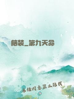 脑装