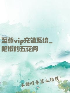 至尊vip充值系统