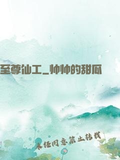 至尊仙工