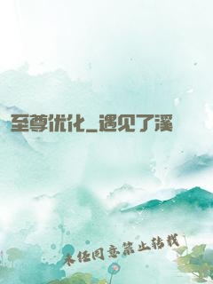 至尊优化