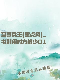 至尊兵王(零点风)