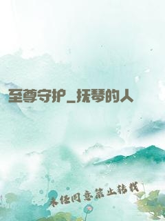 至尊守护