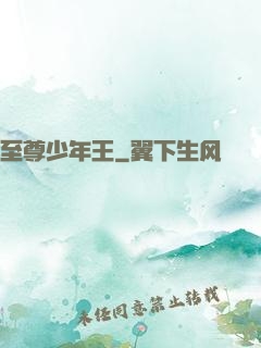至尊少年王