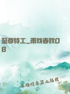 至尊特工
