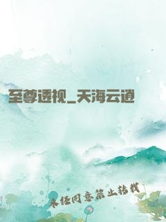 至尊透视