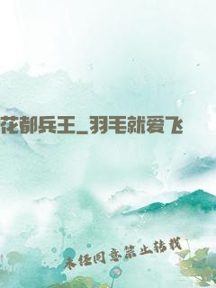 花都兵王