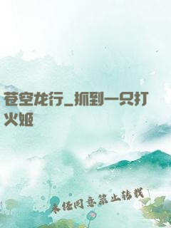 苍空龙行