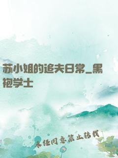 苏小姐的追夫日常