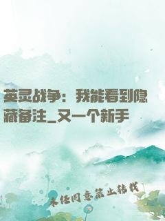 英灵战争：我能看到隐藏备注