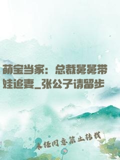 萌宝当家：总裁舅舅带娃追妻