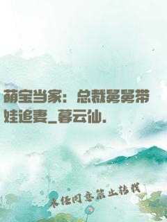 萌宝当家：总裁舅舅带娃追妻