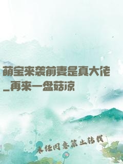 萌宝来袭前妻是真大佬