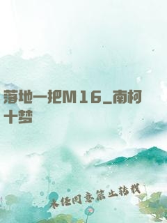 落地一把M16