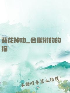 葵花神功