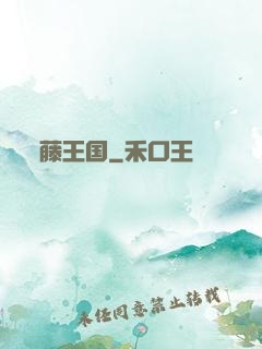 藤王国