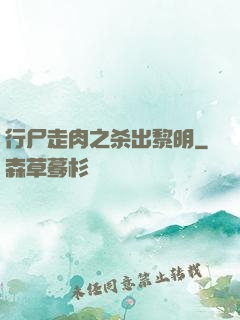 行尸走肉之杀出黎明