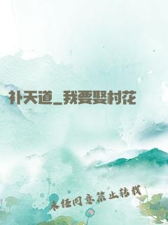 补天道