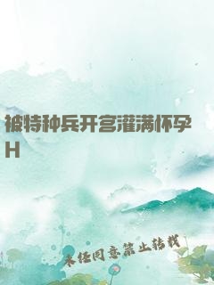 被特种兵开宫灌满怀孕H