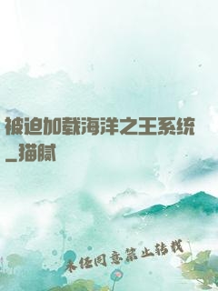 被迫加载海洋之王系统