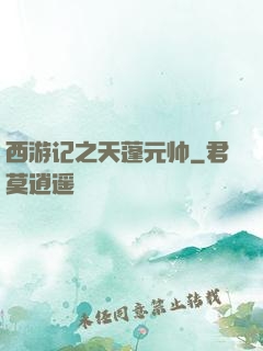 西游记之天蓬元帅