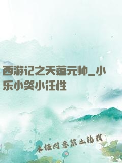 西游记之天蓬元帅