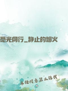 觅光同行