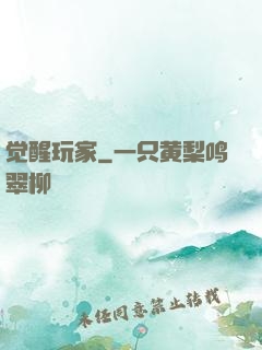 觉醒玩家