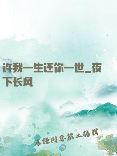 许我一生还你一世
