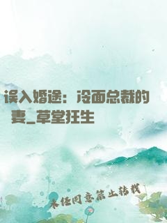 误入婚途：冷面总裁的囧妻
