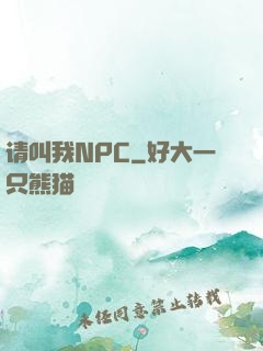 请叫我NPC