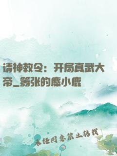 请神敕令：开局真武大帝