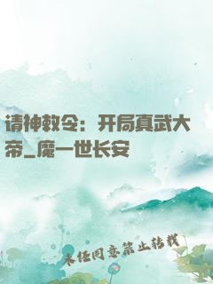 请神敕令：开局真武大帝