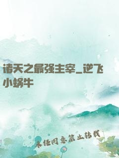 诸天之最强主宰