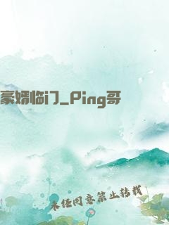 豪婿临门