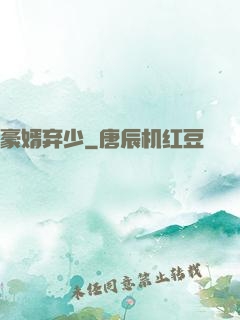 豪婿弃少