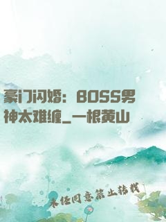豪门闪婚：BOSS男神太难缠