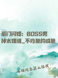 豪门闪婚：BOSS男神太难缠
