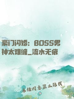 豪门闪婚：BOSS男神太难缠
