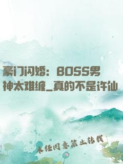 豪门闪婚：BOSS男神太难缠