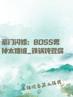 豪门闪婚：BOSS男神太难缠