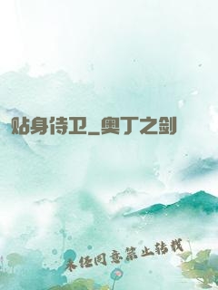 贴身侍卫