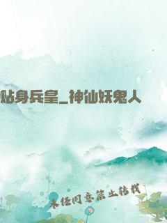 贴身兵皇