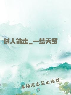贼人休走