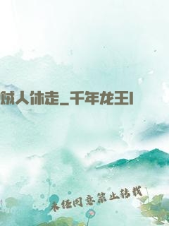 贼人休走