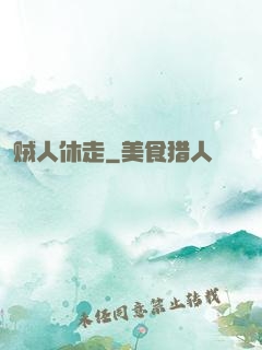 贼人休走